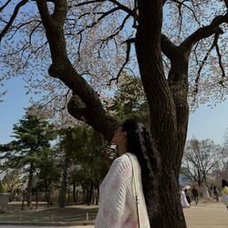 Blossoms
