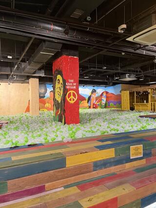 picture of ball pit