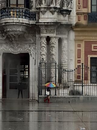photo contest