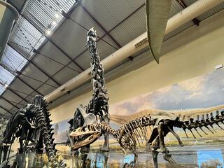 Natural History Museum