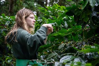 monteverde-girl-leaves-costa-rica