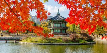 seoul traditional temple water reflection leaves