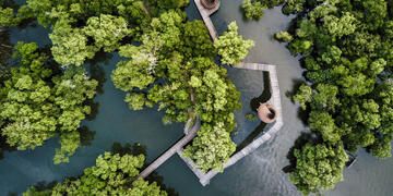singapore mangrove reserve overhead