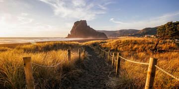 auckland-lion-rock-trail-sunset