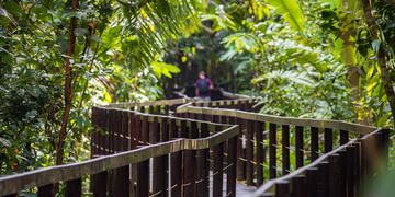 Monteverde