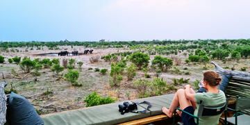 gaborone-man-watching-elephant-herd