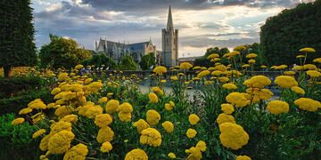 st-patrick_s-park-dublin-ireland.jpg