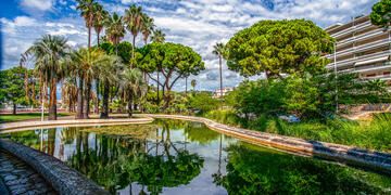 nice-green-park-space