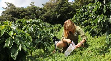 monteverde student collecting samples