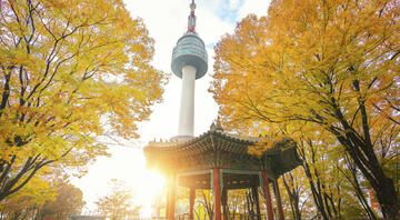 Asia Pacific_South Korea