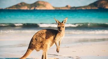 Sydney