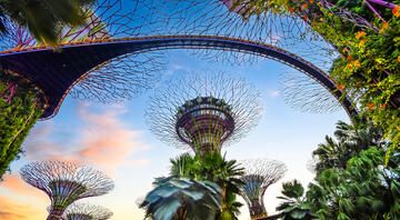 singapore-supertree-grove-sunset
