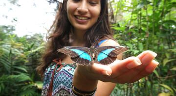 costa-rica_monteverde-butterfly-garden.jpeg