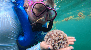 hssa-san-juan-student-snorkeling-with-sea-urchin-module-3.png