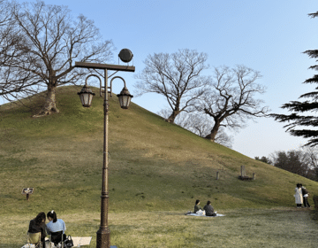 Picnic at Bonghwangdae