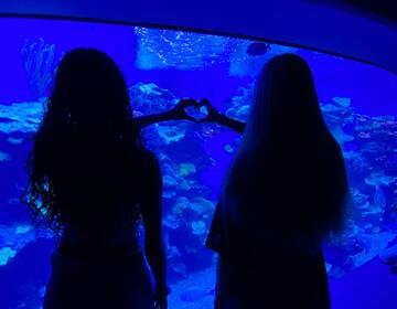 students at aquarium 