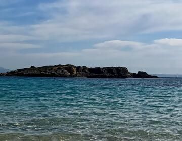 Med Waters