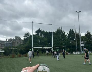 Hurling sliotar