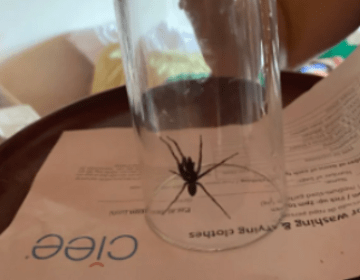 student in costa rica
