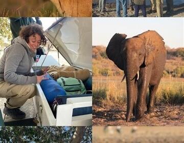 Picture of Wildlife Ecology students and some animals 