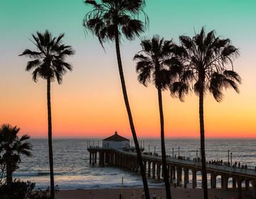 sunset in california with palm trees