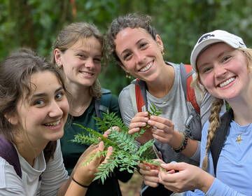 monteverde abroad environmental studies