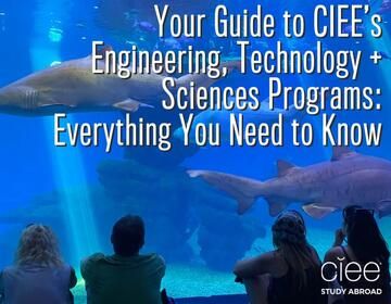 ciee engineering science technology programs new
