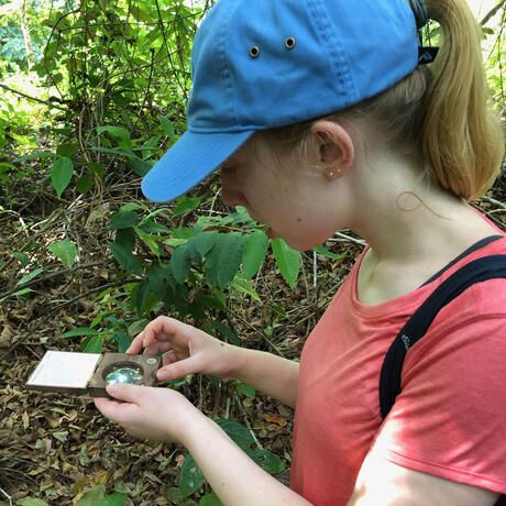 student in forest observing wildlife