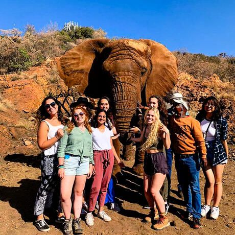gaborone student group posing with an elephant