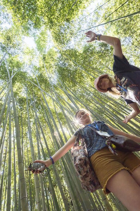 kyoto-bamboo.jpg