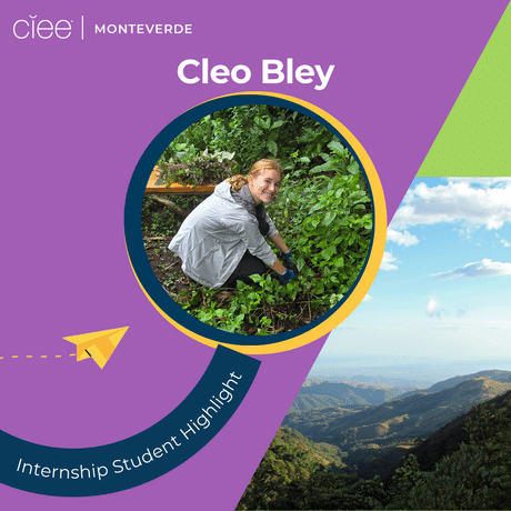 intern abroad monteverde
