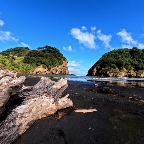 auckland-black-sand-beach