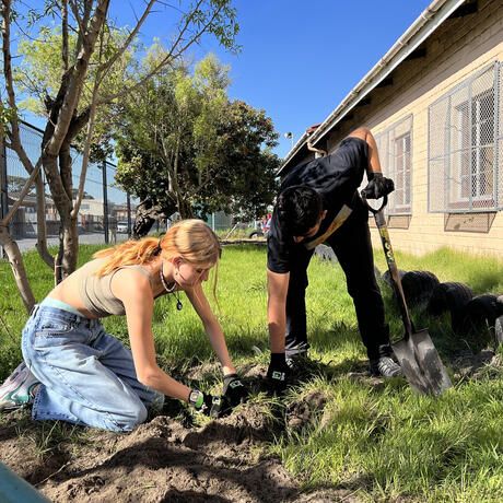 cape-town-students-planting-trees