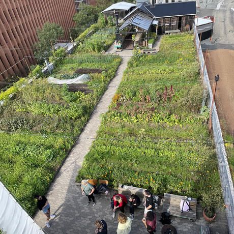 copenhagen-ostergro-rooftop-farm