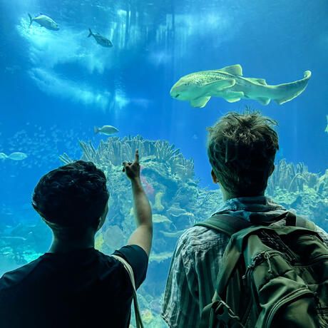 lisbon-hssa-two-boys-aquarium-tunnel