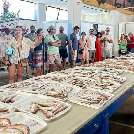 alicante-student-tour-el-campello-fish-market