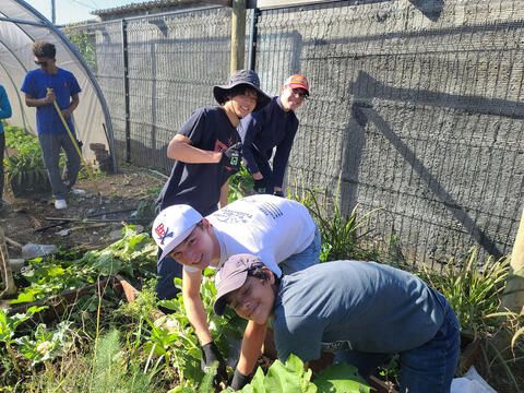 students working in garden at primary school in Cape Town