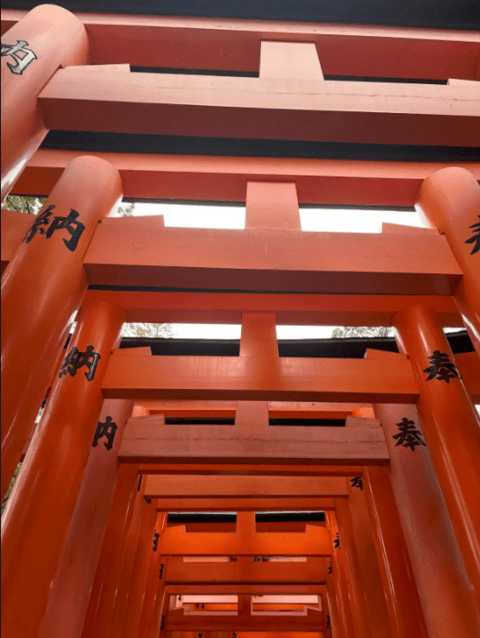 Torii