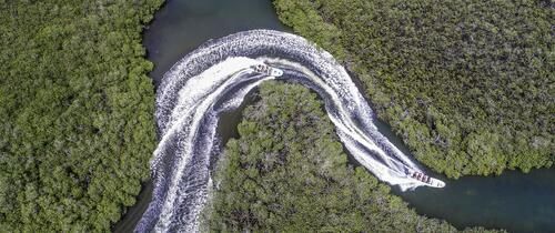 _Study Abroad_Dominican Republic_drone manglar