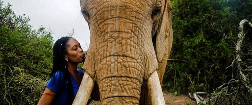 Cape Town girl kissing elephant
