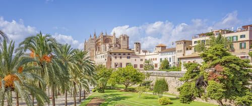 Palma