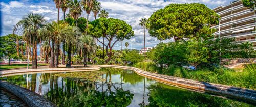 nice-green-park-space