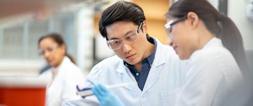 scientists-stem-working-labratory-stock