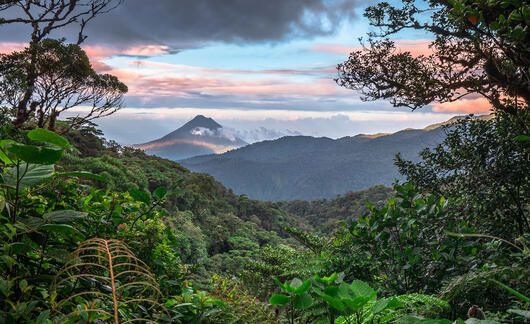 Monteverde