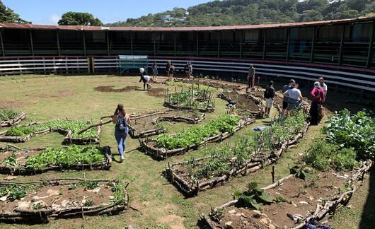 monteverde garden area