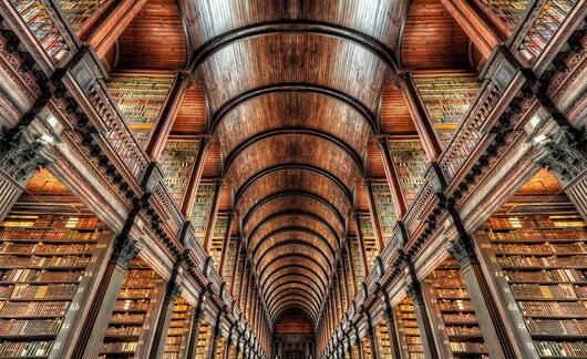 dublin library ceiling books