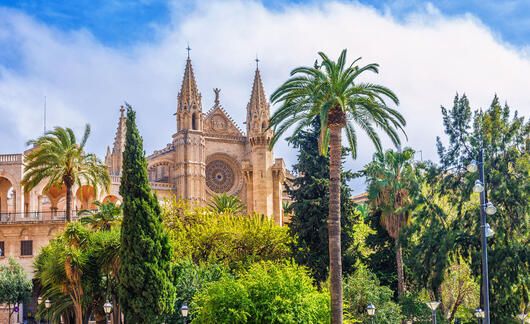 downtown mallorca spain building palm trees