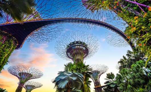 singapore-supertree-grove-sunset
