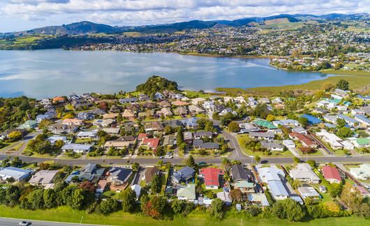 auckland-new-zealand-rural-shot.jpg