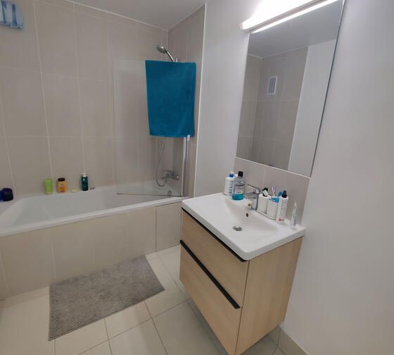 paris housing shared apartment bathroom